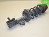 Front shock absorber with coil spring 546601Y101