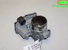 Throttle body valve 2490490