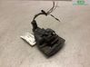 Rear brake caliper 102125000G