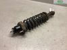 Amortiguador trasero con muelle espiral 4162A338