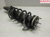 Front shock absorber with coil spring 2530742
