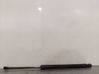 Tailgate/trunk strut/damper 5G6827550G