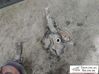 Front wheel hub spindle knuckle 