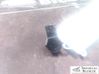 Parking PDC sensor A0009055504