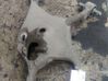 Rear control arm 3229240736011687