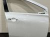 Front door 801007549R