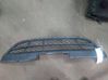 Front grill 