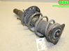 Front shock absorber with coil spring 543025368R