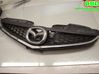 Front grill CE1950710B
