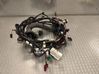 Wiring harness 106796300E