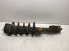 Front shock absorber with coil spring 2070071
