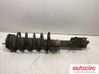 Front shock absorber with coil spring 2070071