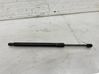 Tailgate/trunk strut/damper 42749474