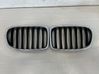 Front grill 51112993308