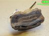 Caliper de freno delantero 410015708R