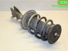 Amortiguador delantero con muelle espiral 543029774R
