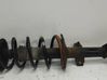Front shock absorber with coil spring 