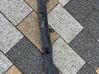 Radiator trim KD45501C1