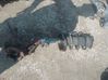 Front shock absorber/damper 