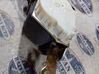 Rear seatbelt 33048192