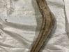 Front control arm 
