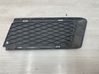 Front bumper lower grill 51117178991