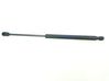 Front bonnet/hood damper/strut FL3416C827AB