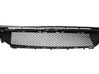 Front bumper lower grill A2058852501