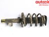 Front shock absorber with coil spring 