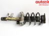 Front shock absorber with coil spring 1710069