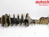 Amortiguador delantero con muelle espiral 546601C300