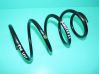 Rear coil spring 