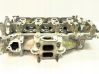 Engine head 50051513
