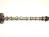 Camshaft 130246760R