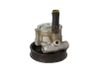 Power steering pump 491100100R
