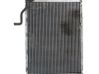 Gaisa kondicioniera dzeses radiators 8200688390