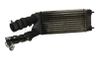Intercooler radiator 00000384L9