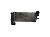 Radiador intercooler 2027395