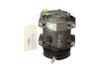 Klimakompressor Pumpe 36001066