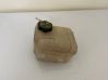 Coolant expansion tank/reservoir 173263310