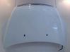 Motorhaube 1521601