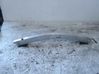 Front bumper support beam Q0009302V009000000