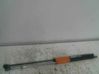 Tailgate/trunk strut/damper 