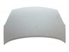 Engine bonnet/hood 7901P7