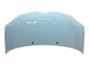Engine bonnet/hood 651002494R
