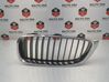 Atrapa chłodnicy / Grill 7294813