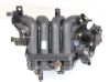 Intake manifold Z601555