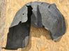 Rear arch fender liner splash guards 