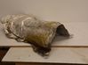Exhaust heat shield 31425525