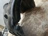 Front wheel arch liner splash guards 